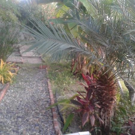Maremonti Bed & Breakfast Puerto López 外观 照片