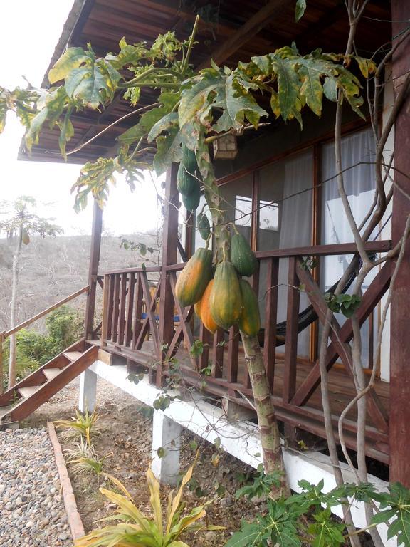 Maremonti Bed & Breakfast Puerto López 外观 照片