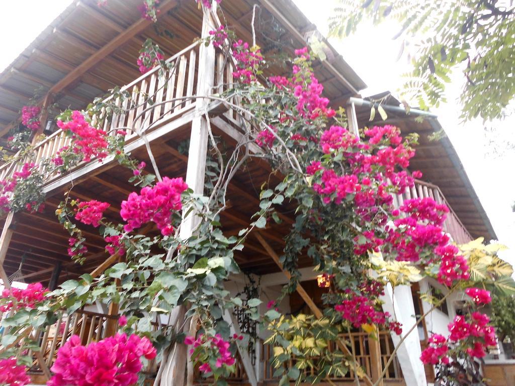 Maremonti Bed & Breakfast Puerto López 外观 照片