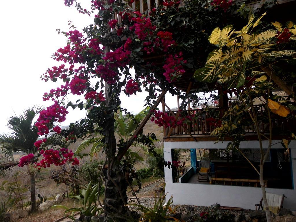 Maremonti Bed & Breakfast Puerto López 外观 照片