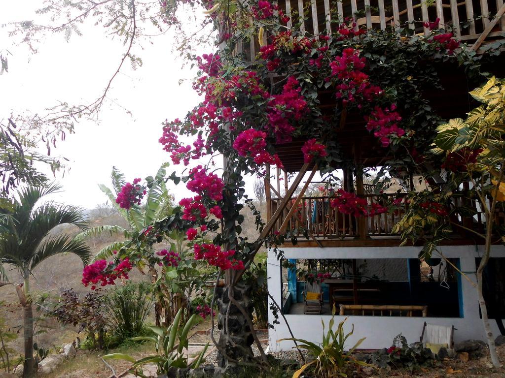 Maremonti Bed & Breakfast Puerto López 外观 照片
