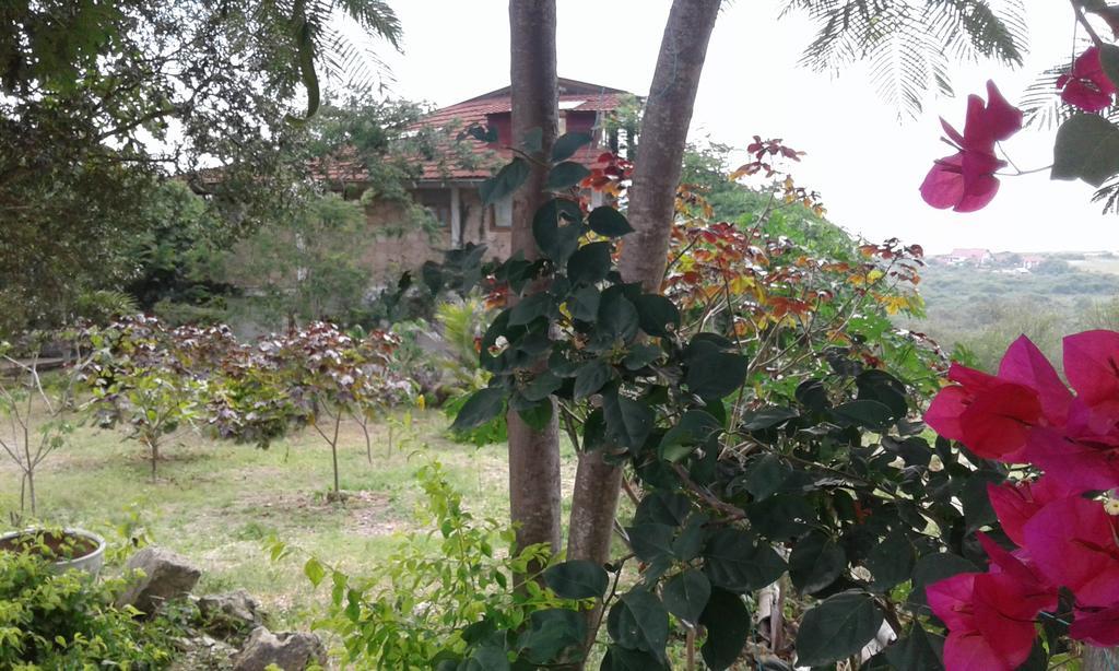 Maremonti Bed & Breakfast Puerto López 外观 照片