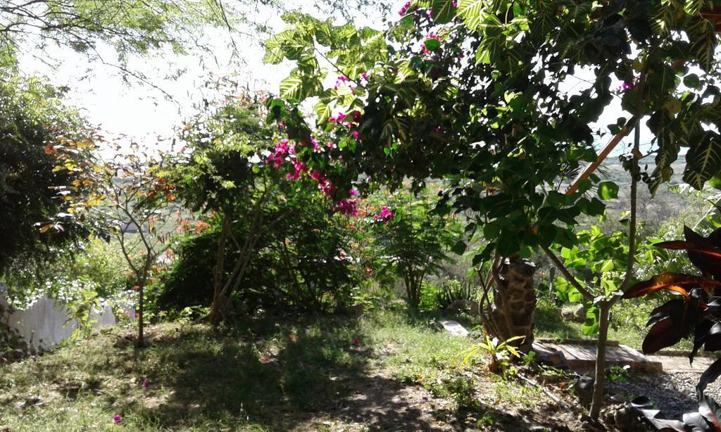 Maremonti Bed & Breakfast Puerto López 外观 照片