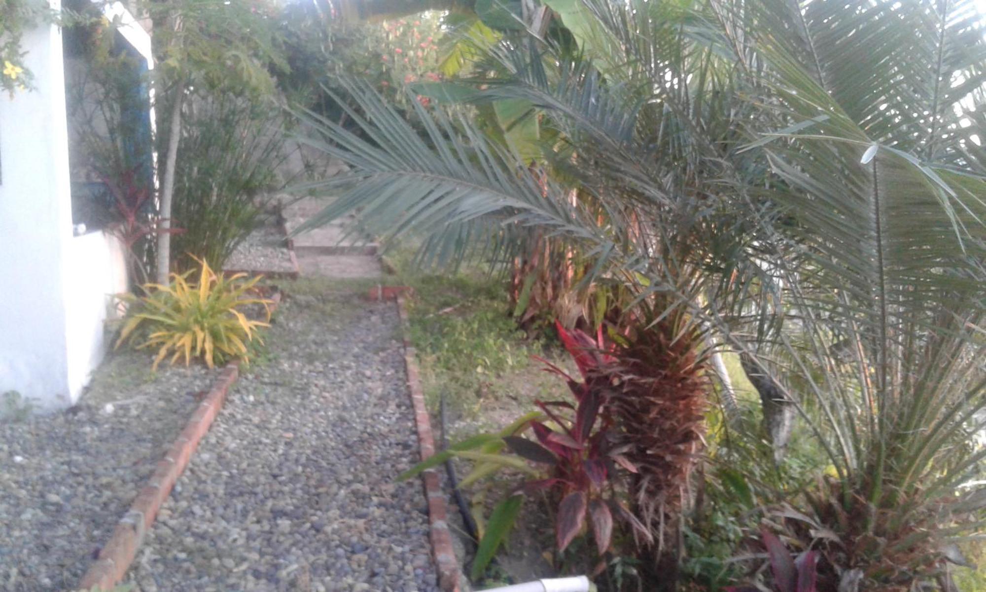 Maremonti Bed & Breakfast Puerto López 外观 照片