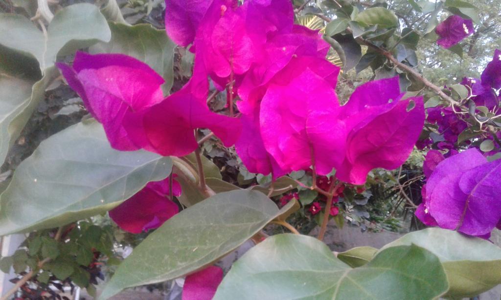 Maremonti Bed & Breakfast Puerto López 外观 照片