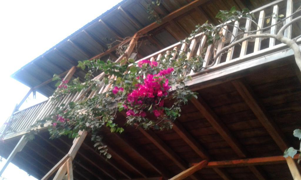 Maremonti Bed & Breakfast Puerto López 外观 照片