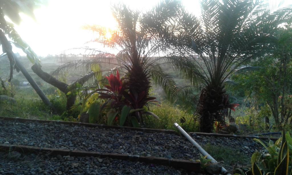 Maremonti Bed & Breakfast Puerto López 外观 照片